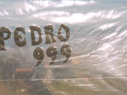 betty sessions - Pedro 999 - live session por cuarto propio